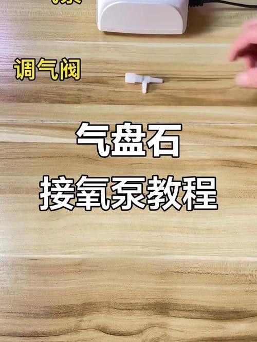 西龍魚缸水泵感覺不出氧氣