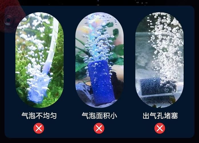 西龍魚缸水泵感覺不出氧氣