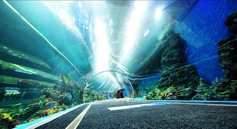 西龍魚缸水泵感覺不出氧氣