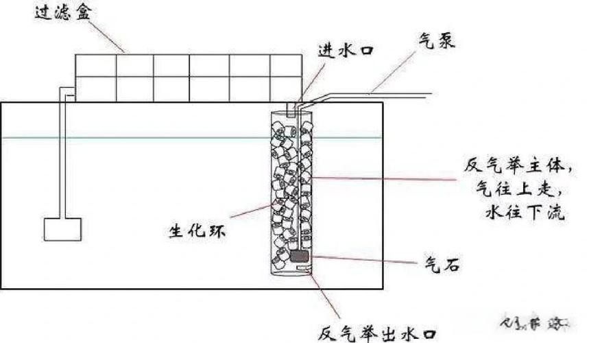 西龍魚缸水泵感覺不出氧氣