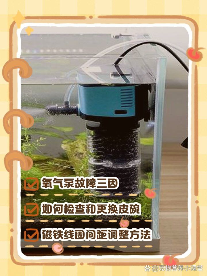 西龍魚缸水泵感覺不出氧氣