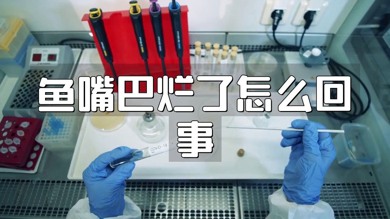 銀龍魚嘴巴前面爛掉怎么回事啊