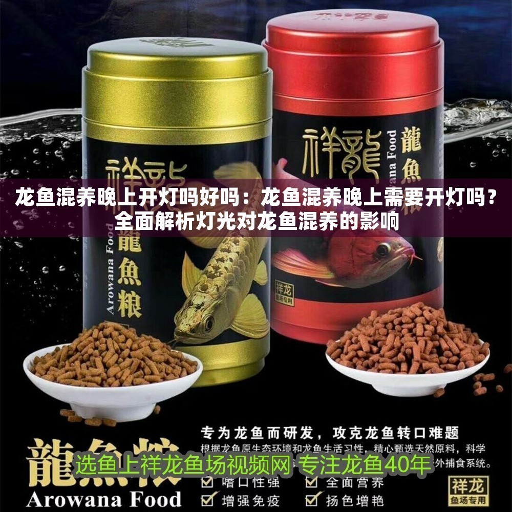 龍魚混養(yǎng)晚上開燈嗎好嗎：龍魚混養(yǎng)晚上需要開燈嗎？全面解析燈光對龍魚混養(yǎng)的影響
