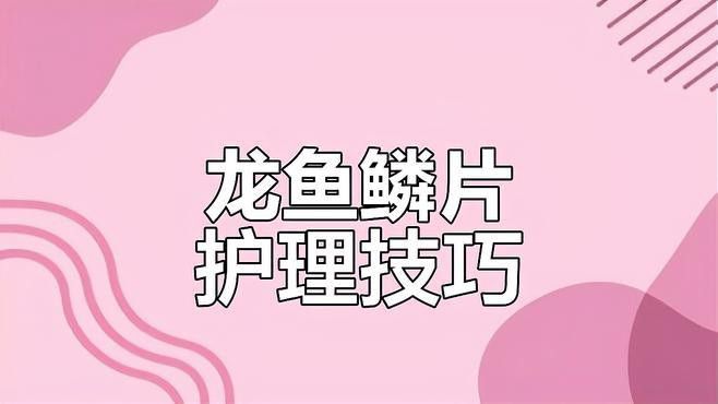 紅龍魚身上有白點怎么辦