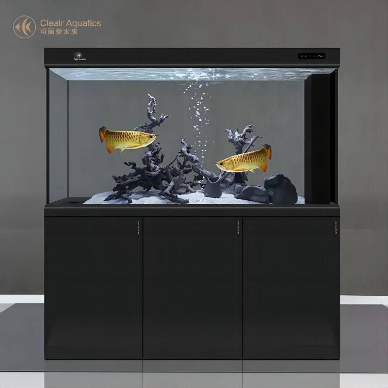 可麗愛官方網(wǎng)站