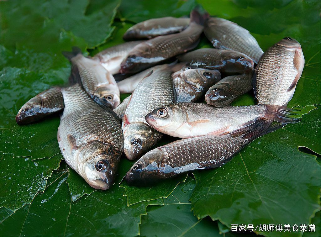 品牌魚與野生魚的區別