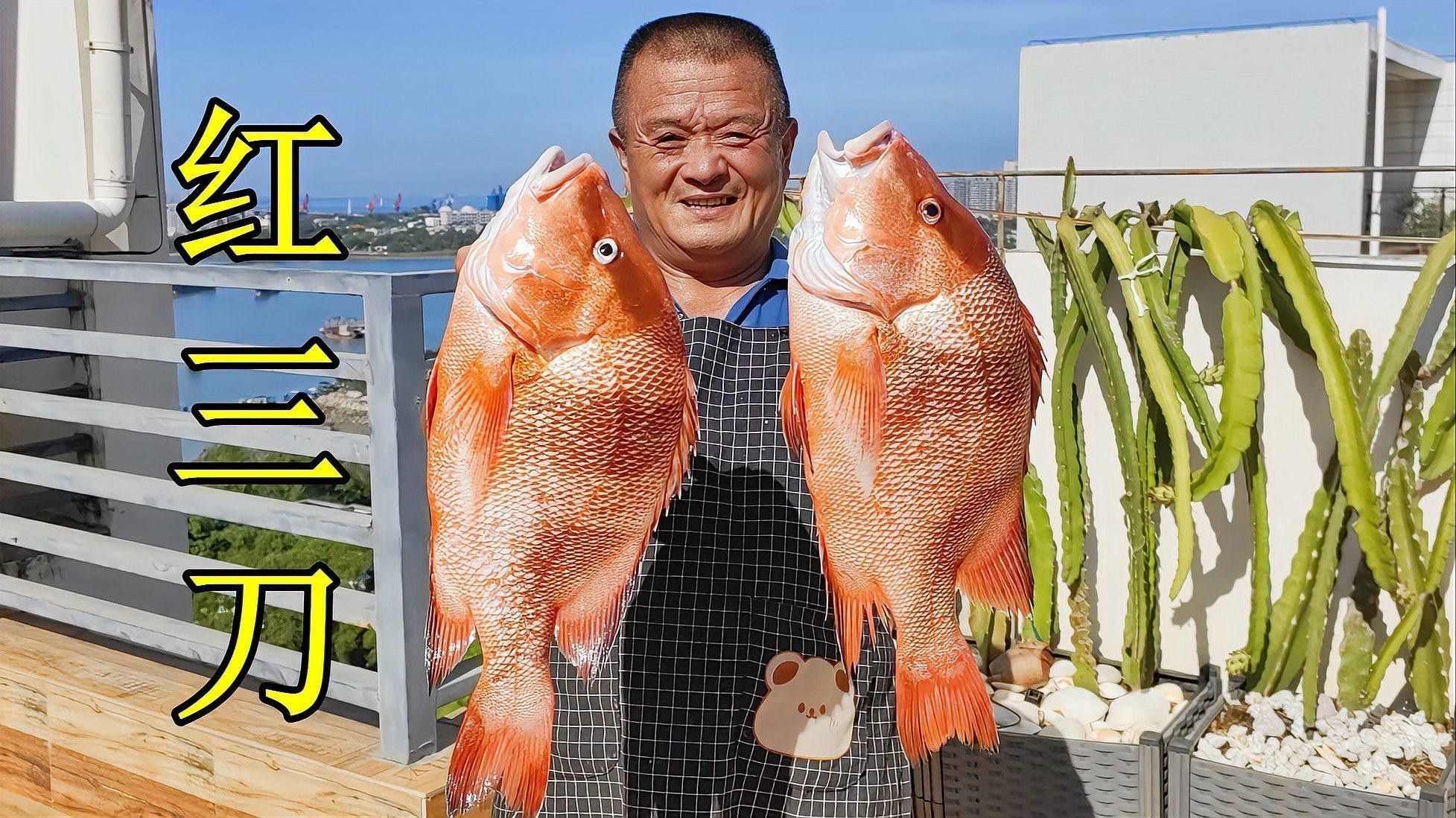 紅金龍魚圖片高清大圖大全