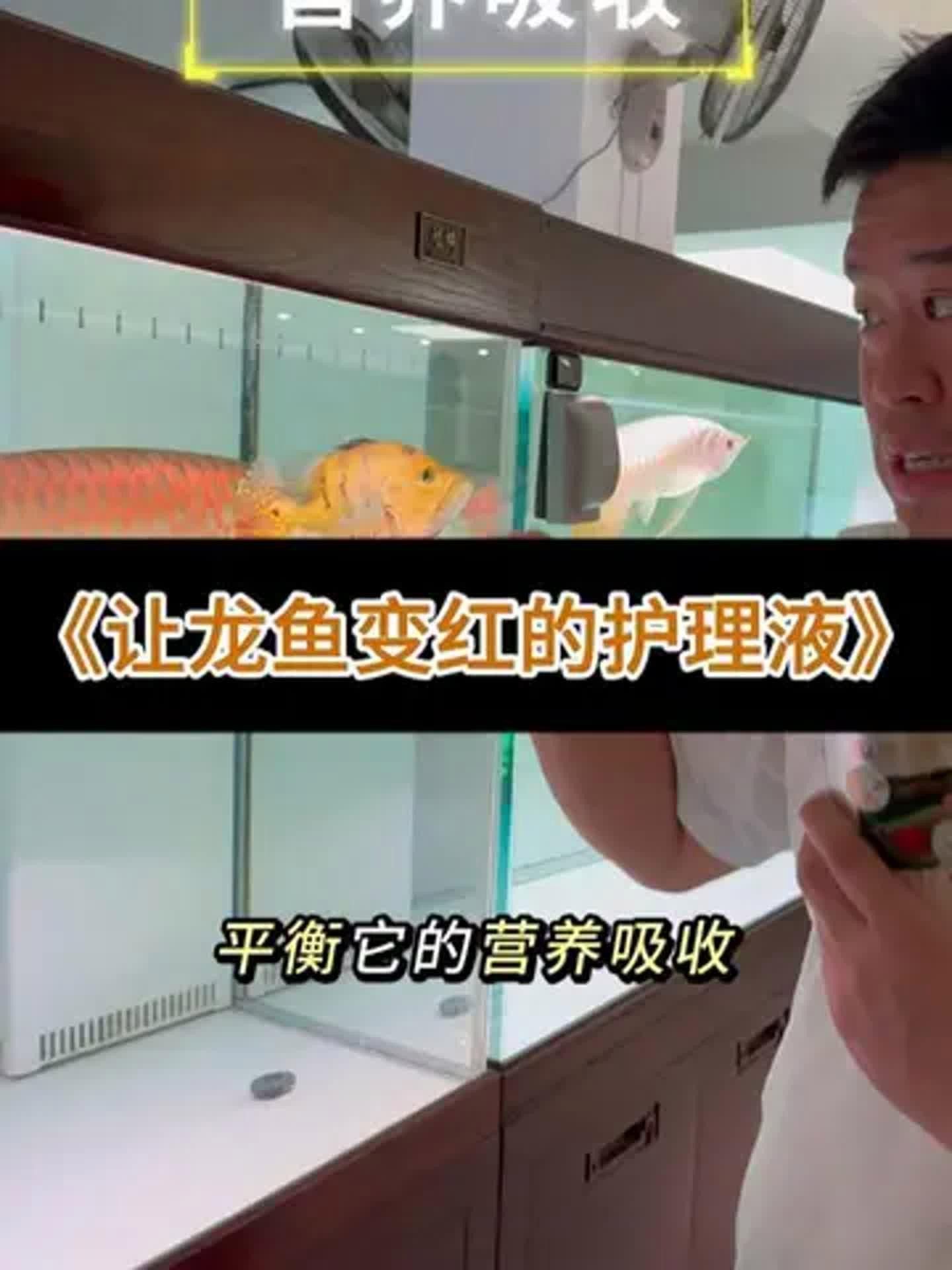 龍魚鱗片發黑如何快速恢復？