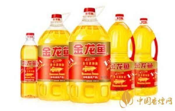 金龍魚的價值在哪里？：金龍魚的價值體現在哪些方面？