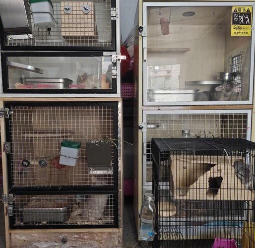 有哪些適合多只龍貓的籠子