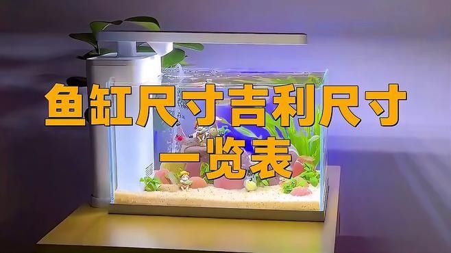 龍魚(yú)缸寬度30