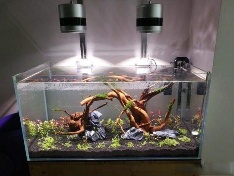 龍魚(yú)缸寬度30
