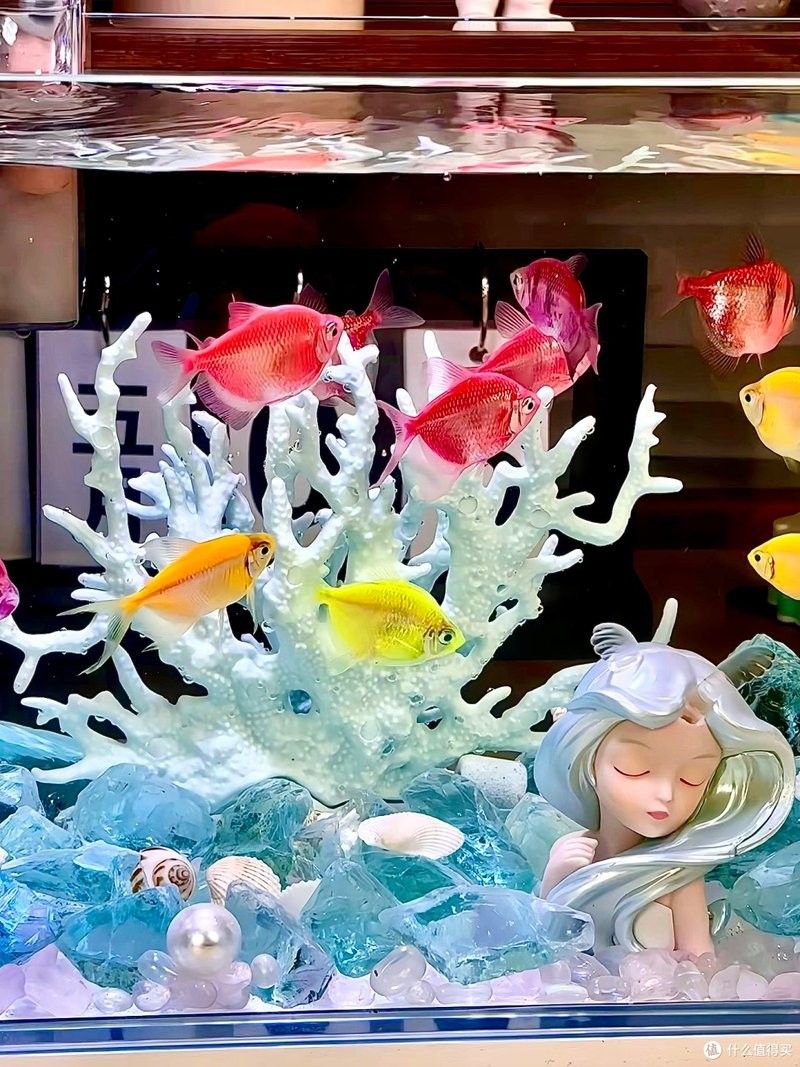 龍魚(yú)缸寬度30