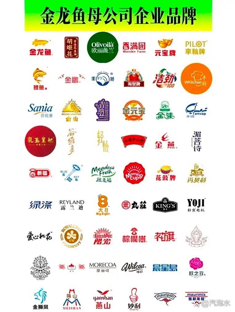 有哪些品牌金龍魚比較受歡迎？