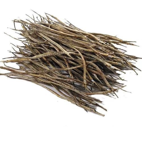 吃多少量的小海龍魚干才合適？