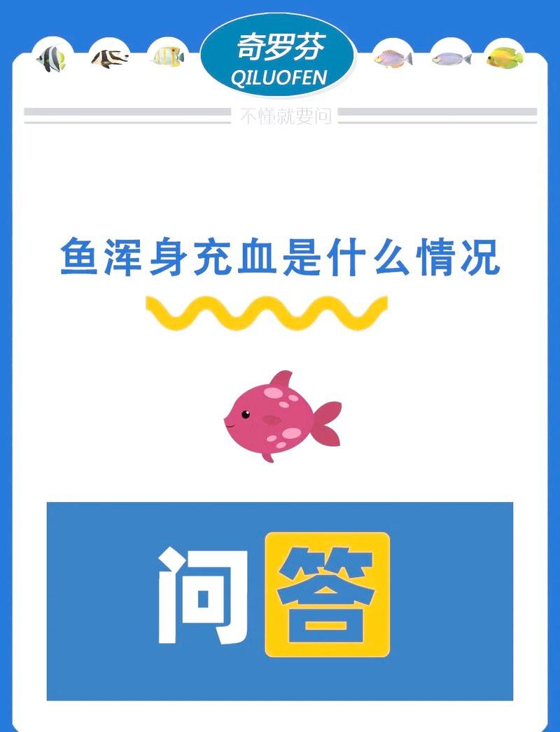 如何判斷龍魚魚鰭充血是否嚴重？