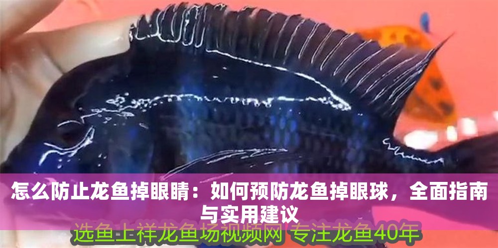怎么防止龍魚掉眼睛：如何預防龍魚掉眼球，全面指南與實用建議