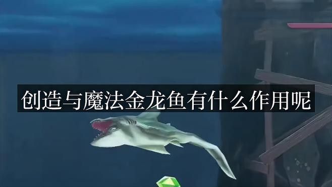 金龍魚一千萬
