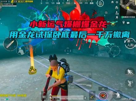 金龍魚一千萬