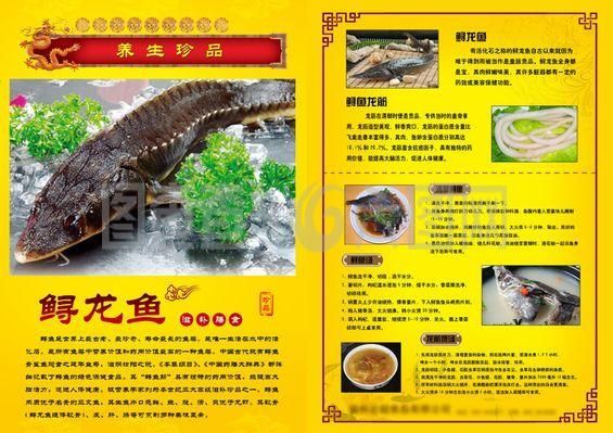 龍魚脹肚怎么回事：龍魚脹肚可能由多種因素引起