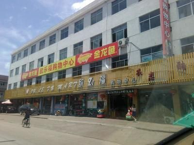 黑龍江金龍魚代理加盟（金龍魚加盟費用明細）