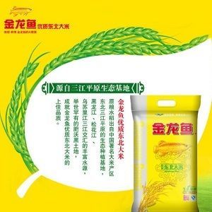 黑龍江金龍魚代理加盟（金龍魚加盟費用明細）