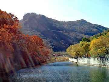 龍魚缸水發白怎么回事：龍魚缸水發白可能是由于多種原因造成的，魚缸水質老化的解決辦法