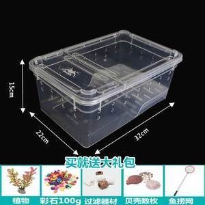 養六角恐龍魚需要什么過濾：六角恐龍魚水質管理技巧六角恐龍魚水質管理技巧