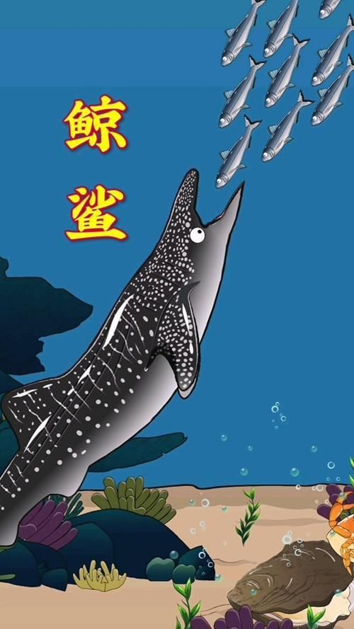 鯨魚和鯊魚圖片
