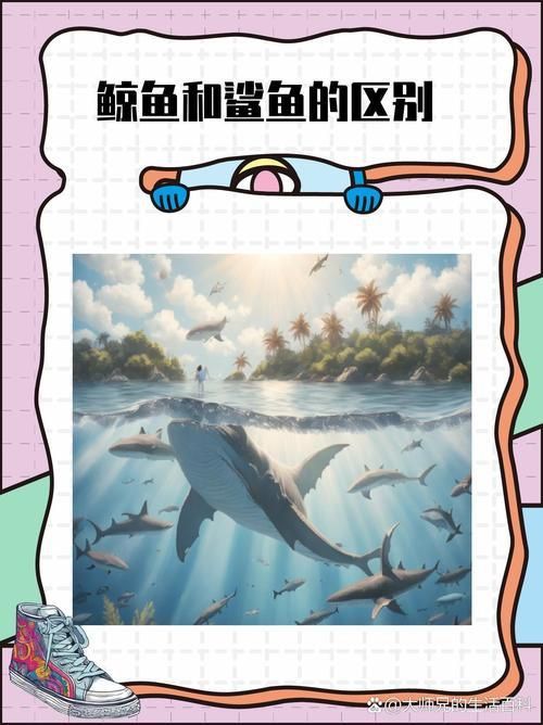 鯨魚和鯊魚圖片