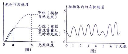 龍魚光照強(qiáng)度的最佳范圍：龍魚光照強(qiáng)度應(yīng)該控制在中等范圍內(nèi)，