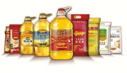 龍魚應該喂什么食物：關于龍魚的飲食建議