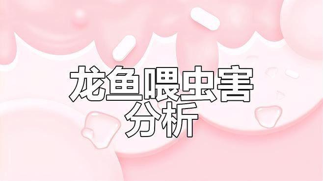 紅龍魚除了蔬菜還能吃什么？