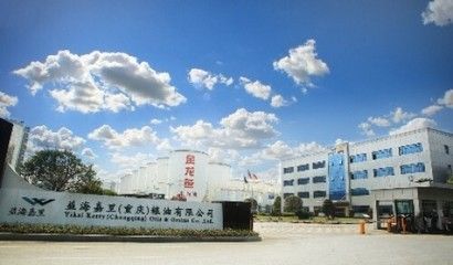 金龍魚研發中心地址，金龍魚的研發中心可能位于上海市浦東新區附近附近