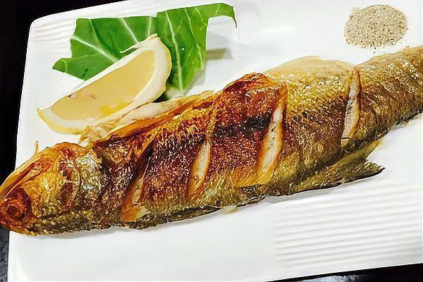 金鼓魚毒性大嗎 龍魚百科 第8張 金鼓魚毒性大嗎 金鼓魚毒性大嗎 龍魚百科 第8張