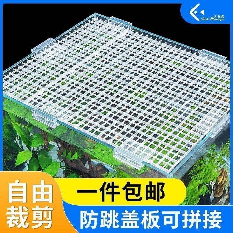 養龍魚魚缸蓋子可以透明的嗎
