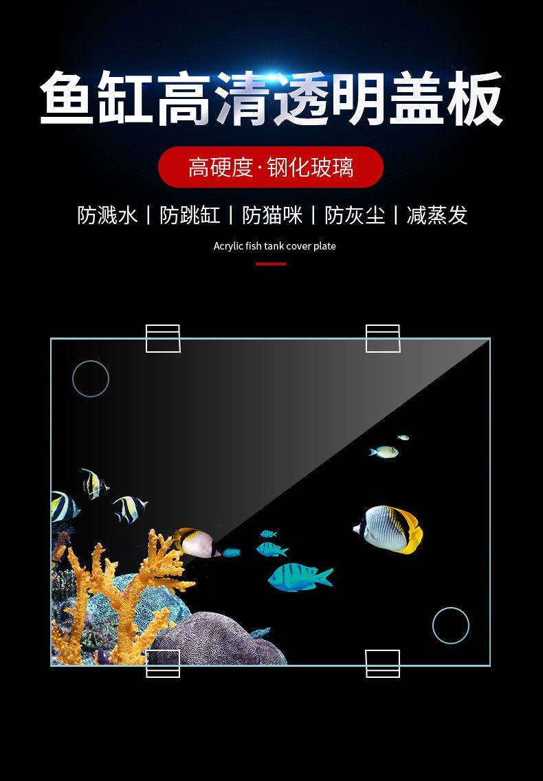 養龍魚魚缸蓋子可以透明的嗎