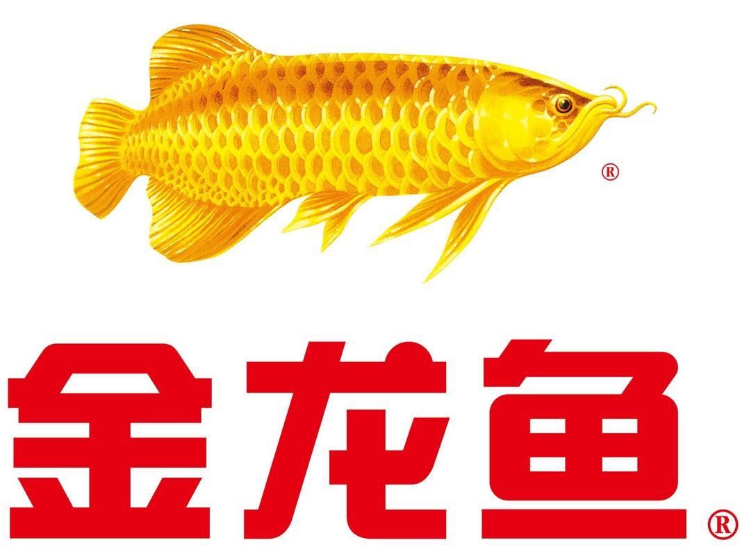 金龍魚商標透明圖片