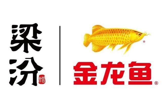 金龍魚商標透明圖片