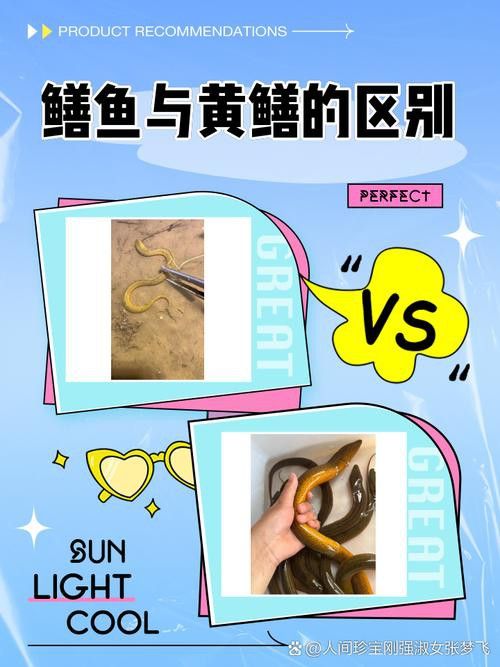 淡水土龍魚圖片大全欣賞 龍魚百科 第35張 淡水土龍魚圖片大全欣賞 淡水土龍魚圖片大全欣賞 龍魚百科 第35張