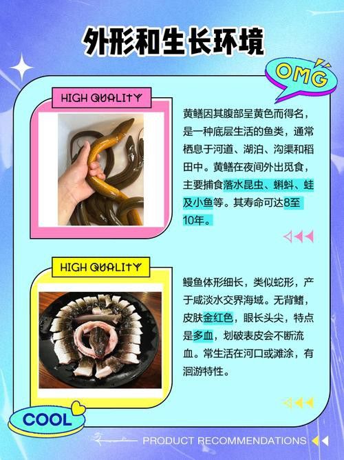 淡水土龍魚圖片大全欣賞 龍魚百科 第34張 淡水土龍魚圖片大全欣賞 淡水土龍魚圖片大全欣賞 龍魚百科 第34張