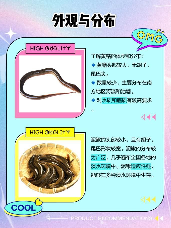 淡水土龍魚圖片大全欣賞 龍魚百科 第40張 淡水土龍魚圖片大全欣賞 淡水土龍魚圖片大全欣賞 龍魚百科 第40張