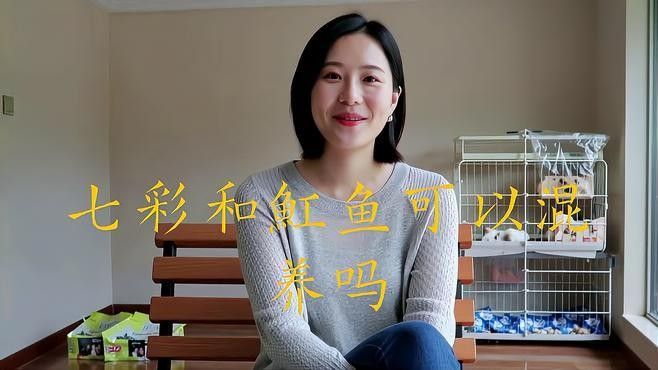 龍魚混養魚推薦圖片高清版