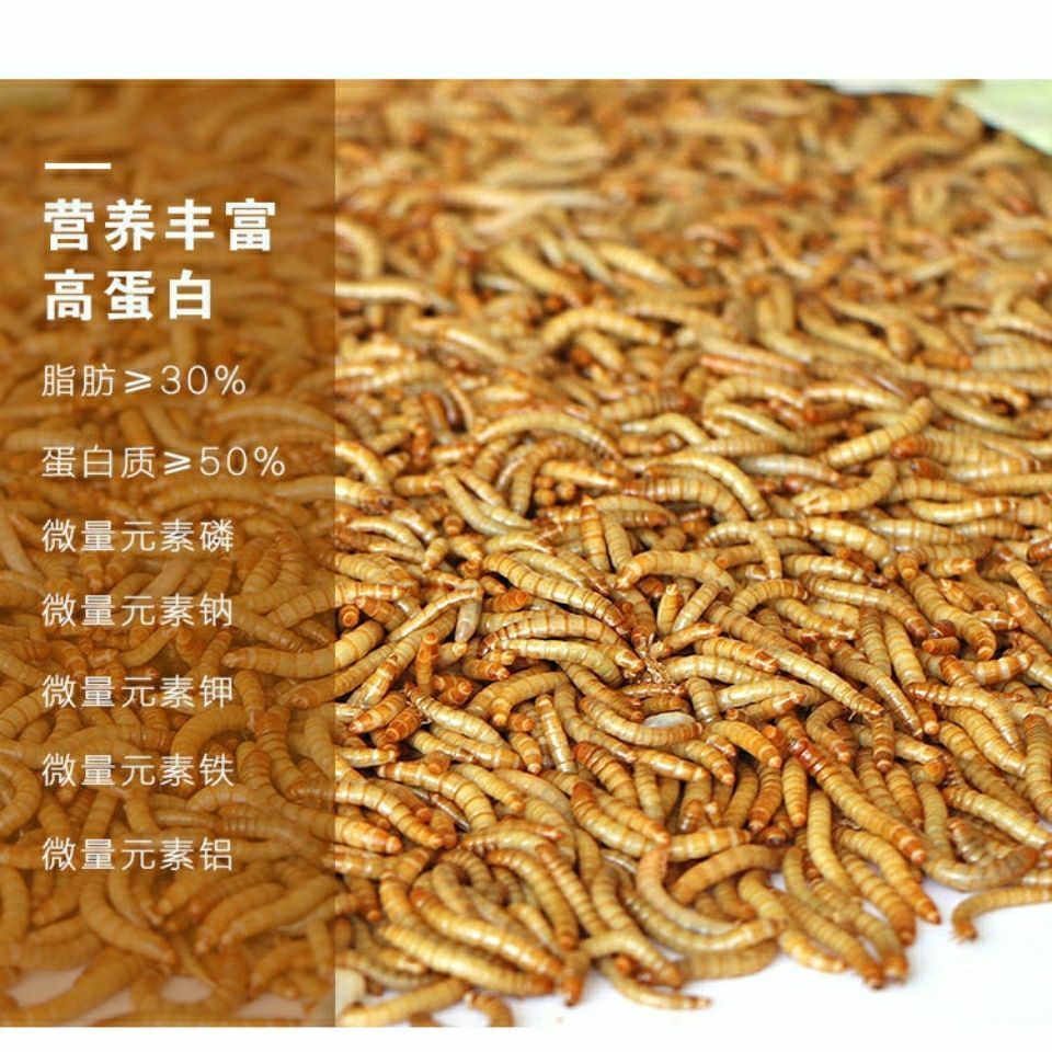 祥龍龍魚魚糧的蛋白質(zhì)來源：如何判斷龍魚飼料中蛋白質(zhì)的最佳比例