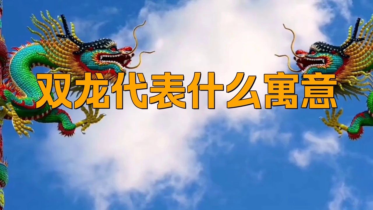道之雙龍是什么意思？ 道之雙龍是什么意思？ 龍魚百科 第1張