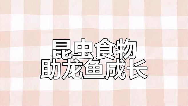 哪些昆蟲適合喂龍魚？