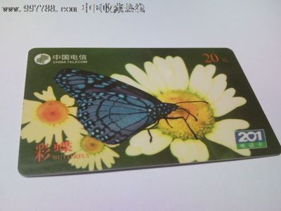 彩蝶魚缸新款圖片及價格大全（彩蝶魚缸性價比高的型號彩蝶魚缸維護保養指南）