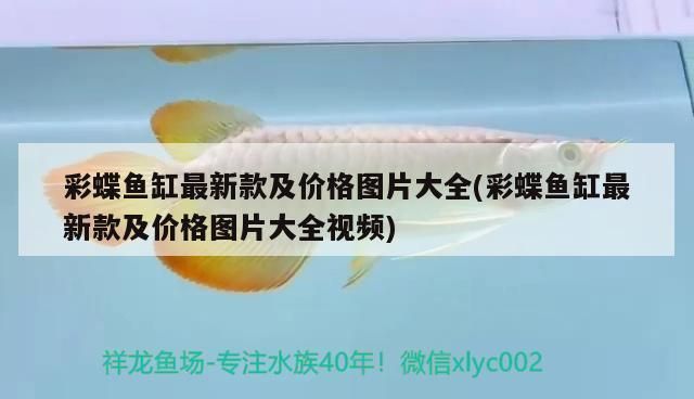彩蝶魚缸新款圖片及價格大全（彩蝶魚缸性價比高的型號彩蝶魚缸維護保養指南）