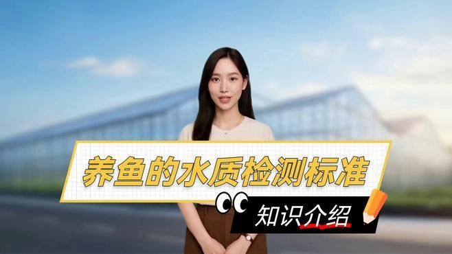 如何檢測龍魚水質是否達標？
