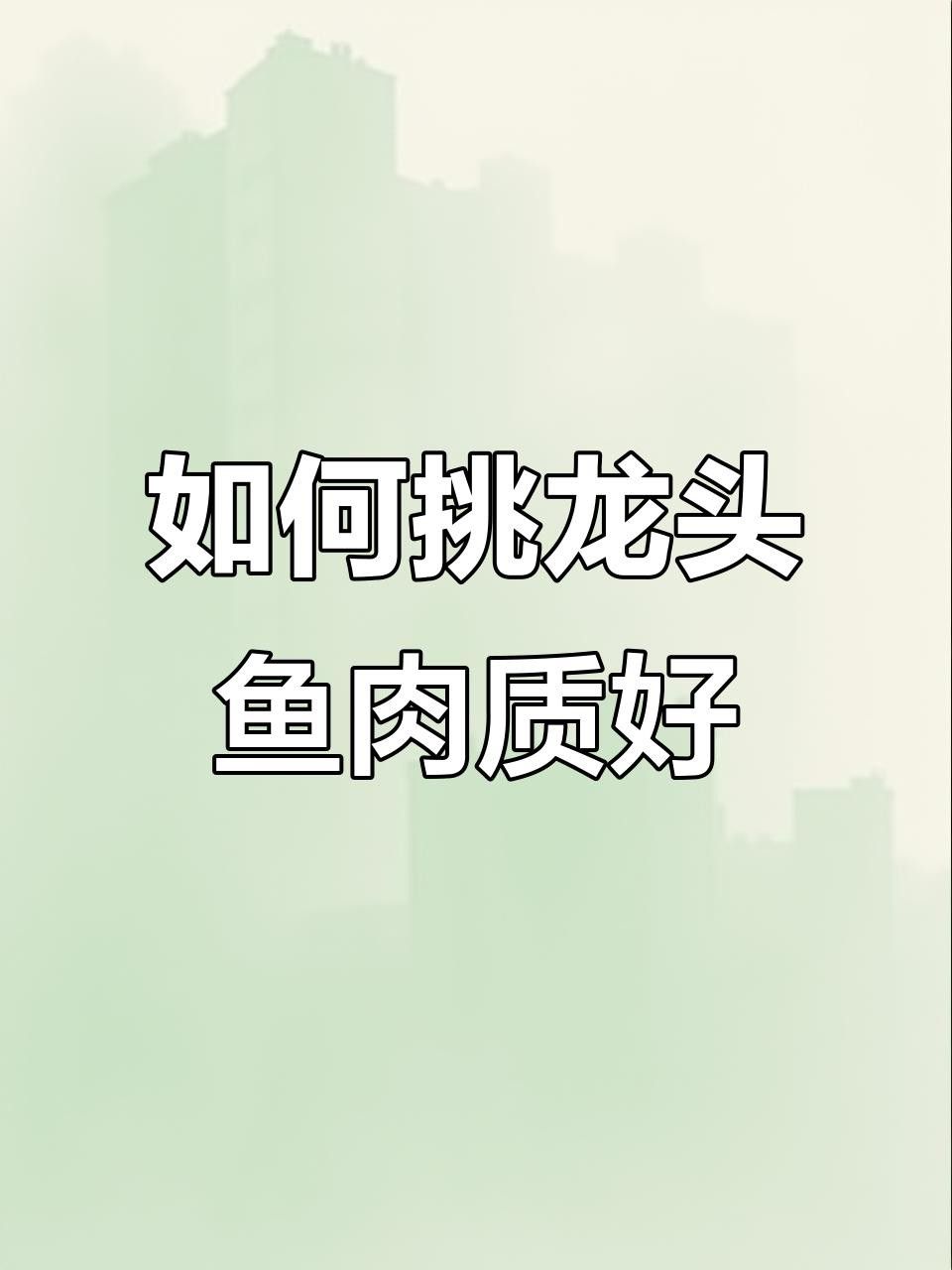 如何選購新鮮的龍頭魚？